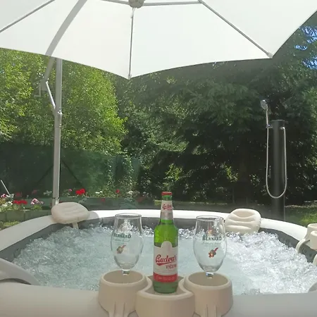 Wellness Villa U Prahy Villa *